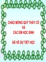 LT&C: Dấu gạch ngang