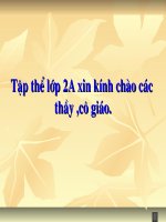 Từ ngữ về họ hàng, dấu chấm, dấu chấm hỏi