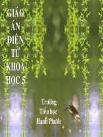 sinh sản của chim- Hạnh Phước