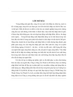 Tình hình hoạt động nhập khẩu hàng điện tử tại công ty TNHH Sóng Âm Thanh (Song Am Thanh Co.,Ltd)