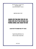 Nghiên cứu tình hình tiêm vắc xin phòng uốn ván ở phụ nữ mang thai phường hương long thành phố huế