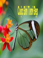 SƯU TẦM-CUỘC SỐNG DIỆU KÌ