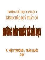 Hướng dẫn tự thiết kế bài dạy cho người mới biết PowerPoint