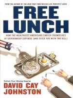 Free lunch   david cay johnston