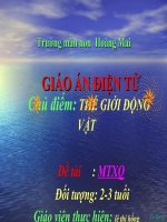 những con vật dễ thương