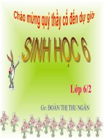 bài 26.sinh san sinh duong tu nhien