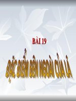 Bài 19. Đặc điểm bên ngoài của lá