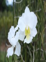 ĐẶC ĐIỂM DÂN CƯ XÃ HỘI ĐNA