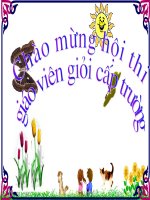 Giáo án dự thi GV giỏi: LQCC