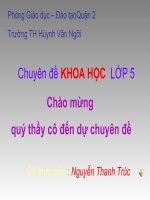 khoa hoc lop 5 su sinh san va nuoi con cua chim