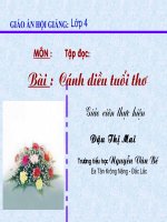 Chính tả : Cánh diều tuổi thơ