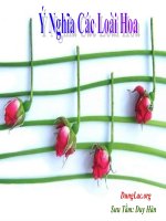 QUÀ TẶNG CUỘC SỐNG