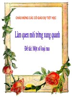 LÀM QUEN MÔI TRƯỜNG XUNG QUANH