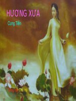 Hương xưa