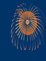 TIẾT 6 -  MÔI TRƯỜNG NHIỆT ĐỚI