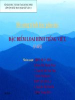 Giáo án bằng word: Đặc điểm loại hình tiếng việt