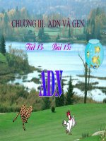 Tiết 15 sinh học 9 bài ADN