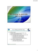 Các chiến lược môi trường toàn cầu