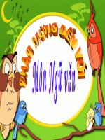 Xây dựng đoạn văn trong văn bản