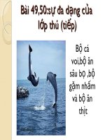 Bài 50: Sự đa dạng của lớp thú.