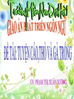 ĐỀ TÀI : TUYỆN 