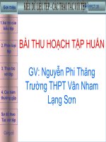 bai thu hoach-Phi Thang