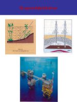 Bài 40: Tiết 50: Dầu mỏ và khí thiên nhiên