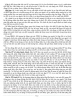 Tài liệu môn khoa học quản lý có đáp án