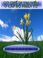 Cơ chế tương tác giữa các gen trong tế bào