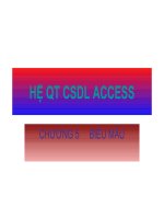 form trong access
