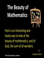The Beauty of Mathematics