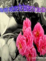 Unit 8: Getting started+ Listen and read+ L.Focus 4