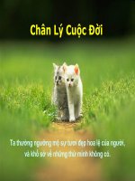 Chân Lý Cuộc Đời