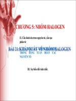 Bài 21. Đại cương về nhóm Halogen