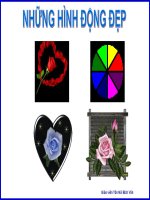 Những hình động đẹp 4