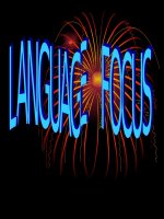 Unit 11 - E10 -  language focus