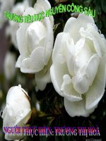 Chia cho số có 2 chữ số (tt)