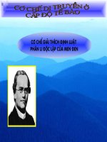 Cơ chế giải thích định luật PLDL của MEnden