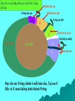 Su phân bố khí áp, các loại gió chính