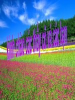 Bài 2 - VẬN TỐC