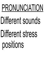 Bài tập Ngữ âm