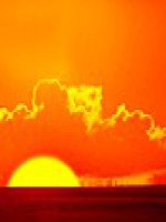 Unit 10 - E11 - Reading