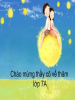 CN7 Bái: Vai trò của trồng rừng