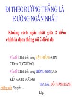 Đi theo đường thẳng là đường ngắn nhất