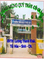 Bài sản xuất thức ăn cho vật nuôi