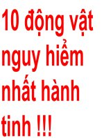 10 ĐỘNG VẬT NGUY HIỂM NHÁT HÀNH TINH!