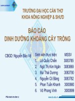 dinh duong cây trồng 2