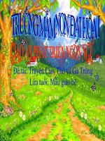 Đề tài: Chuyện cáo thỏ gà trống