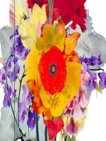 bộ sưu tập hoa cực đẹp.