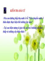 Trao đổi nước ở thực vật sinh 11